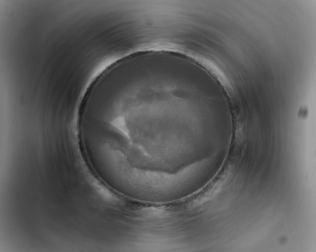 X0000102840990200808181344