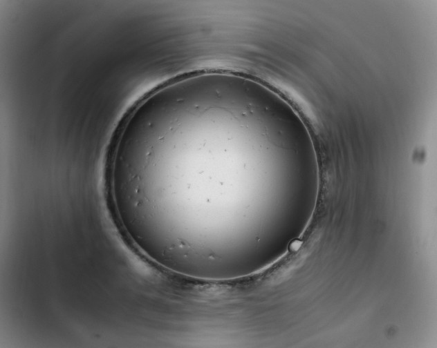 X0000102840991200808181344