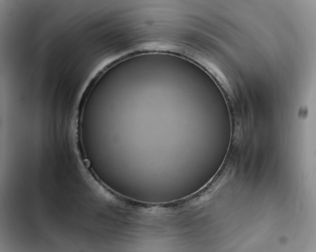 X0000102840992200808181344