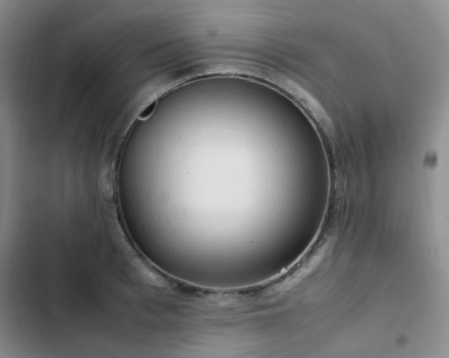 X0000102840993200808181344