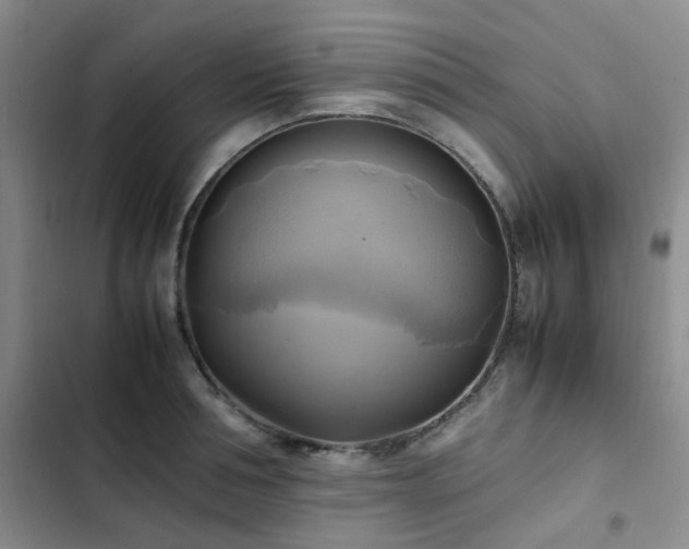 X0000102840994200808181344