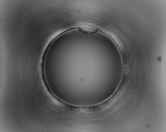 X0000102840995200808181344