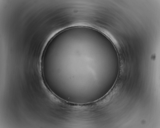 X0000102840996200808181344