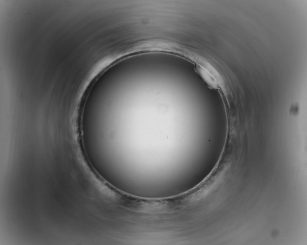 X0000102840997200808181344