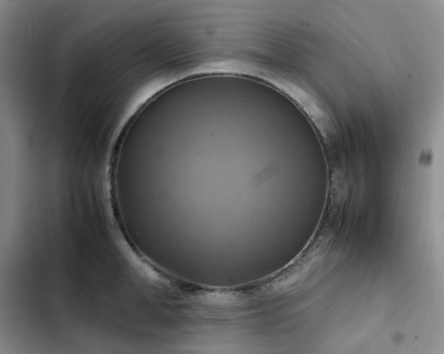 X0000102840998200808181344