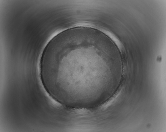 X0000102840999200808181344