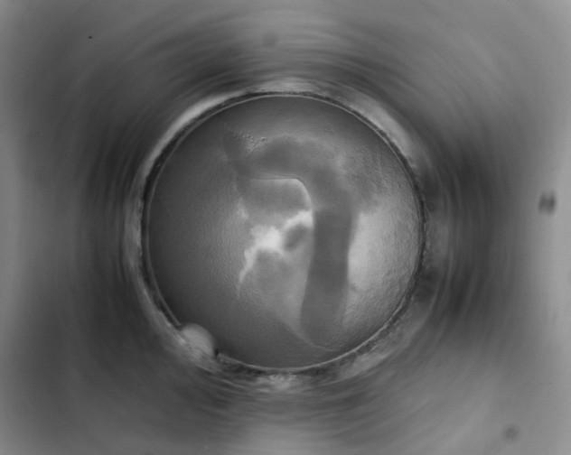 X0000102841000200808181343