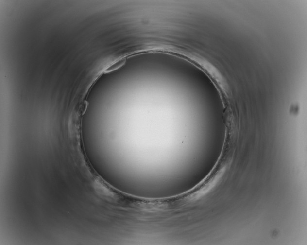 X0000102841001200808181343