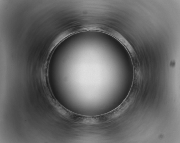 X0000102841002200808181343