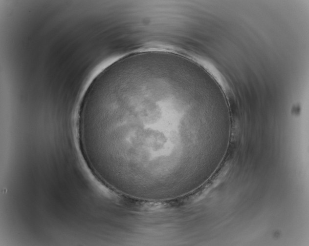 X0000102841003200808181343