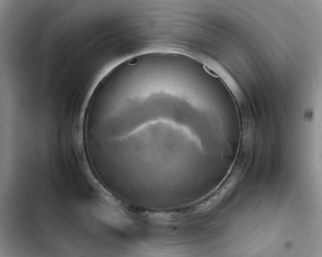 X0000102841004200808181343