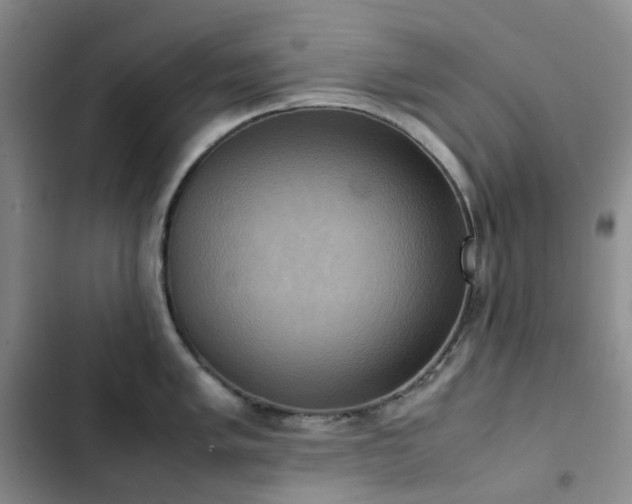 X0000102841005200808181343