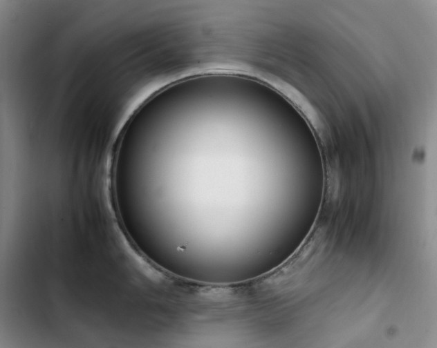 X0000102841006200808181343