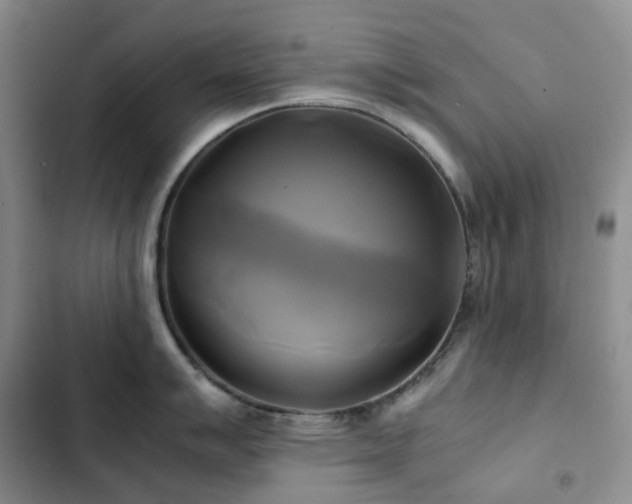 X0000102841007200808181343