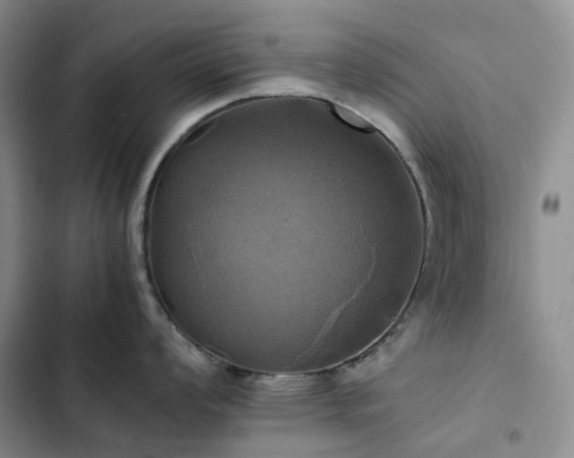 X0000102841008200808181343