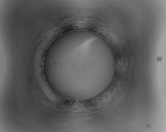 X0000102841009200808181343