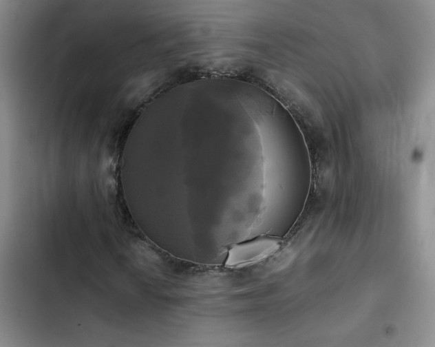 X0000102841010200808181343