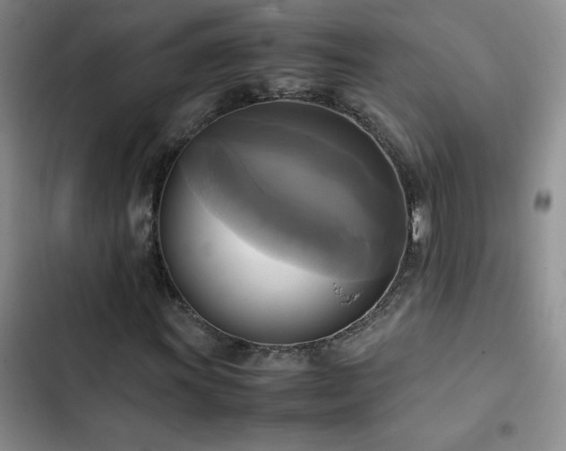 X0000102841011200808181343