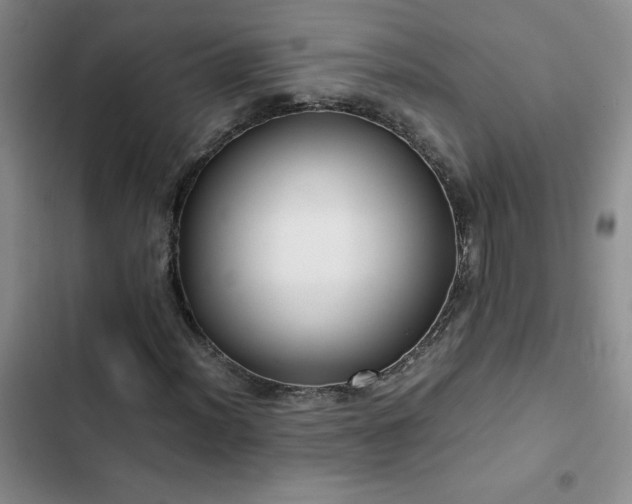 X0000102841012200808181343