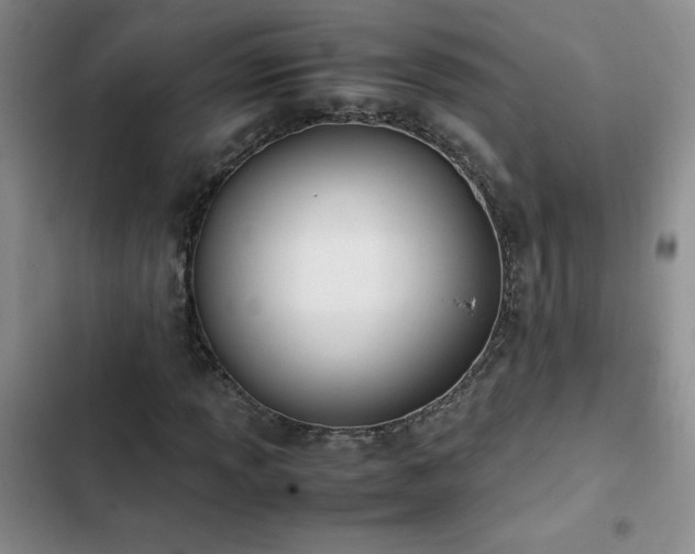 X0000102841013200808181343