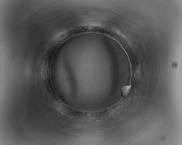 X0000102841014200808181343