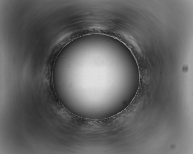 X0000102841015200808181343