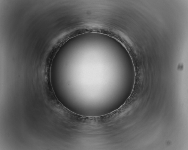 X0000102841016200808181343