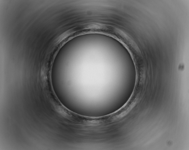 X0000102841017200808181343