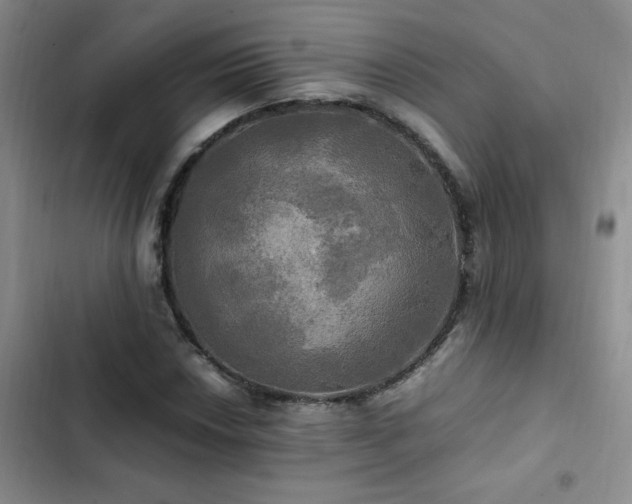 X0000102841018200808181343