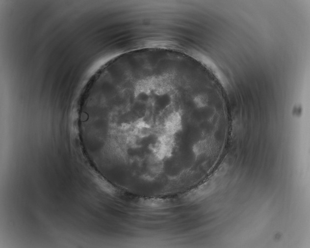 X0000102841019200808181343