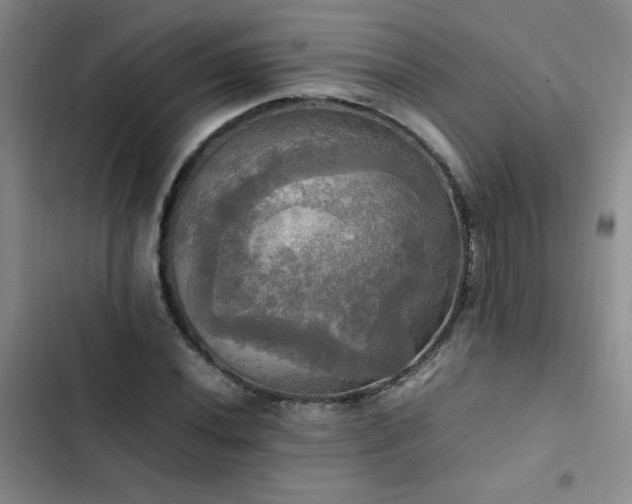 X0000102841020200808181343