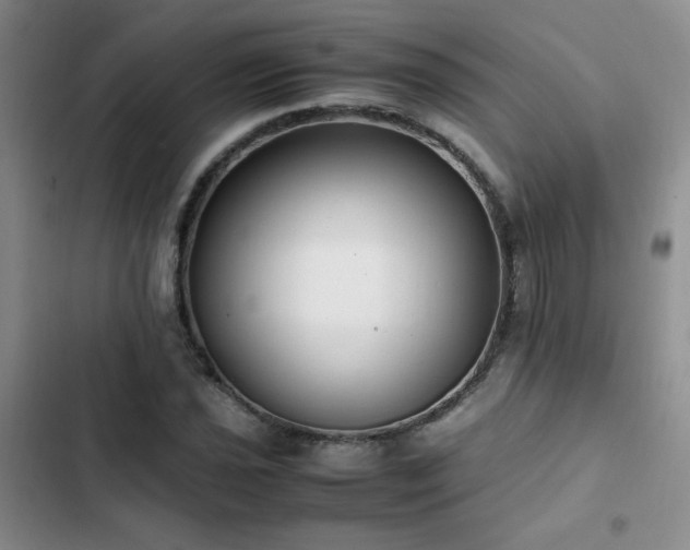 X0000102841021200808181343