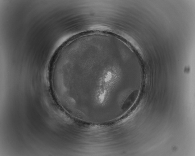 X0000102841022200808181343