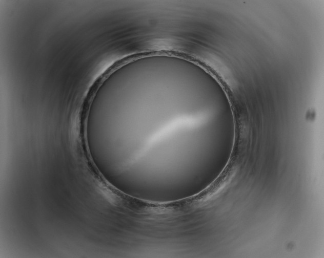 X0000102841023200808181343