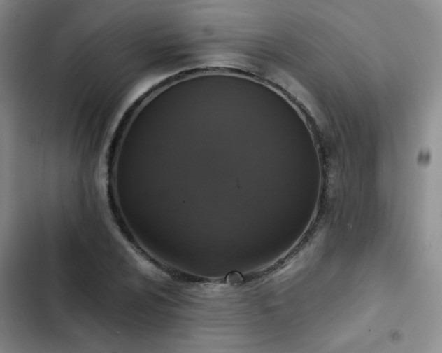 X0000102841024200808181343