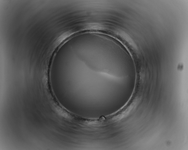 X0000102841025200808181343