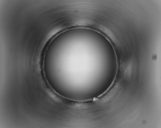 X0000102841026200808181343