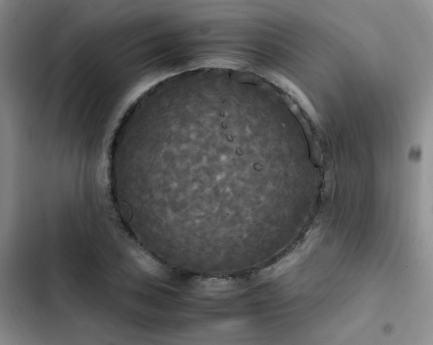 X0000102841027200808181343