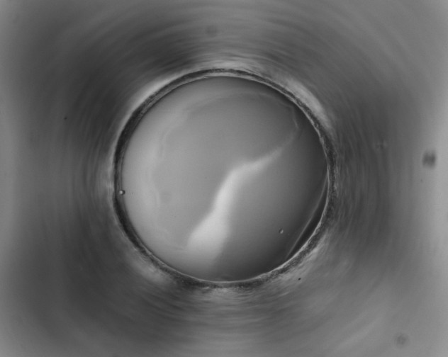 X0000102841028200808181343