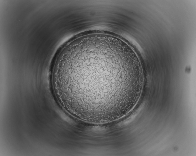 X0000102841029200808181343