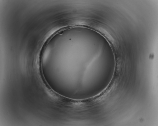 X0000102841031200808181343