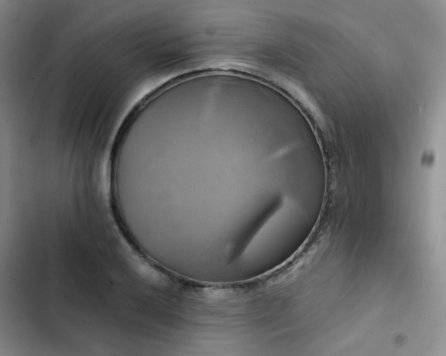 X0000102841032200808181343