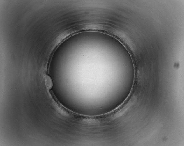X0000102841033200808181343