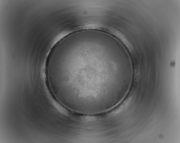 X0000102841034200808181343