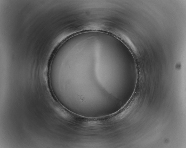 X0000102841035200808181343