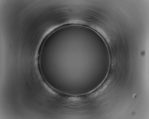 X0000102841037200808181343