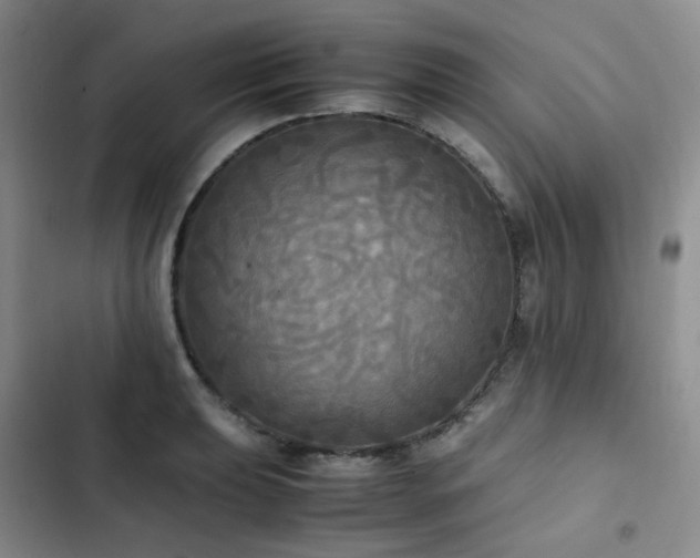 X0000102841039200808181343