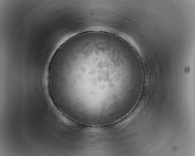 X0000102841040200808181343
