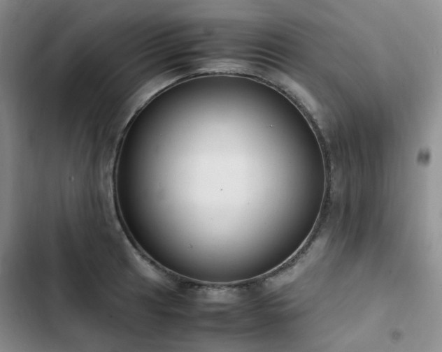 X0000102841041200808181343