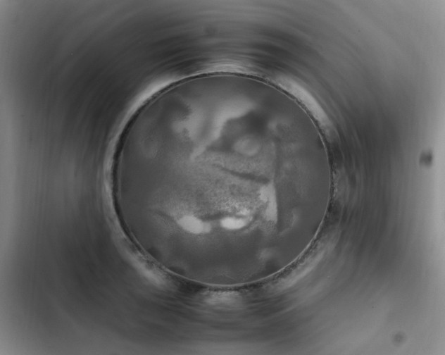 X0000102841043200808181343